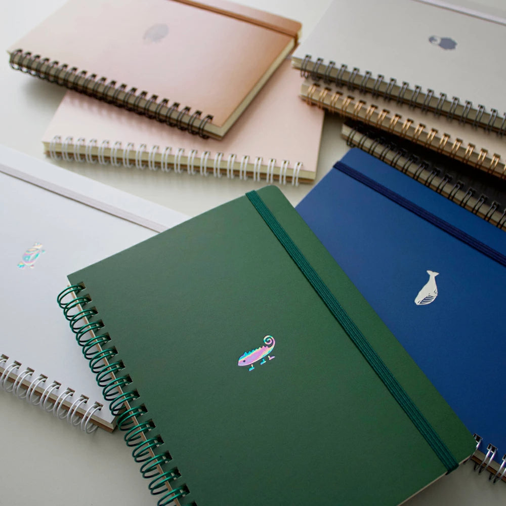 POINT ワンポイント リングノート B6